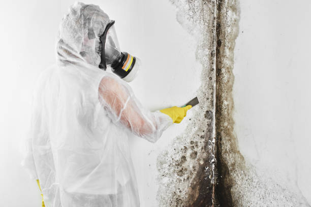 Best Mold Testing  in Newton, KS