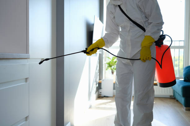Best Residential Mold Removal  in Newton, KS