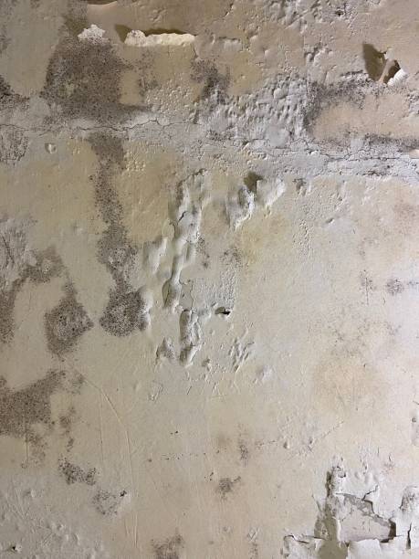 Water Damage Restoration in Newton, KS